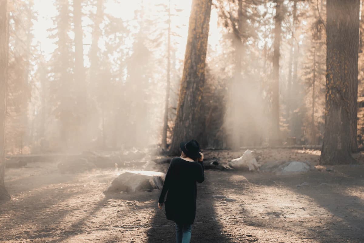 A person walking through a sunlit forest, shown as representative lifestyle imagery